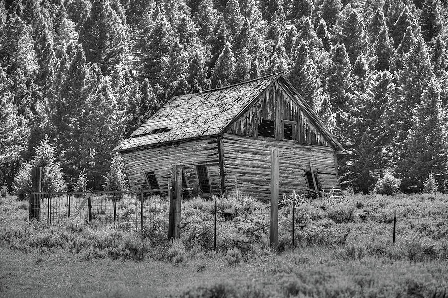 The Gilmore Barn Photograph by Richard J Cassato