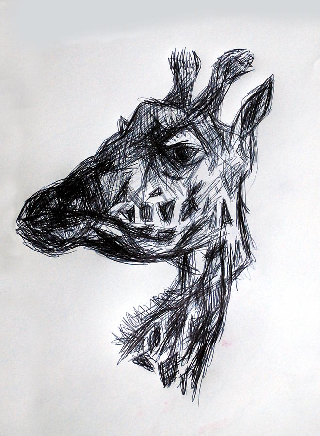 The Giraffe by Paul Sutcliffe The Giraffe by Paul Sutcliffe