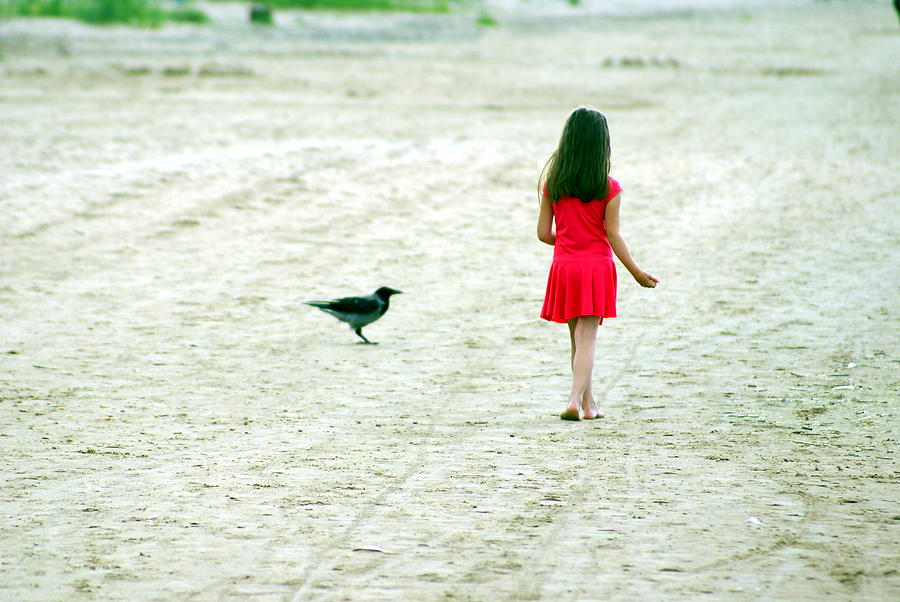 Summer Photograph - The girl and the Raven by Vadim Grabbe