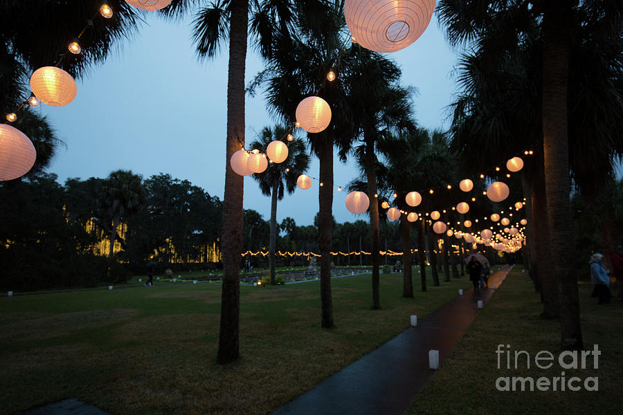 The Glow of Paper Lanterns Photograph by Robert Loe
