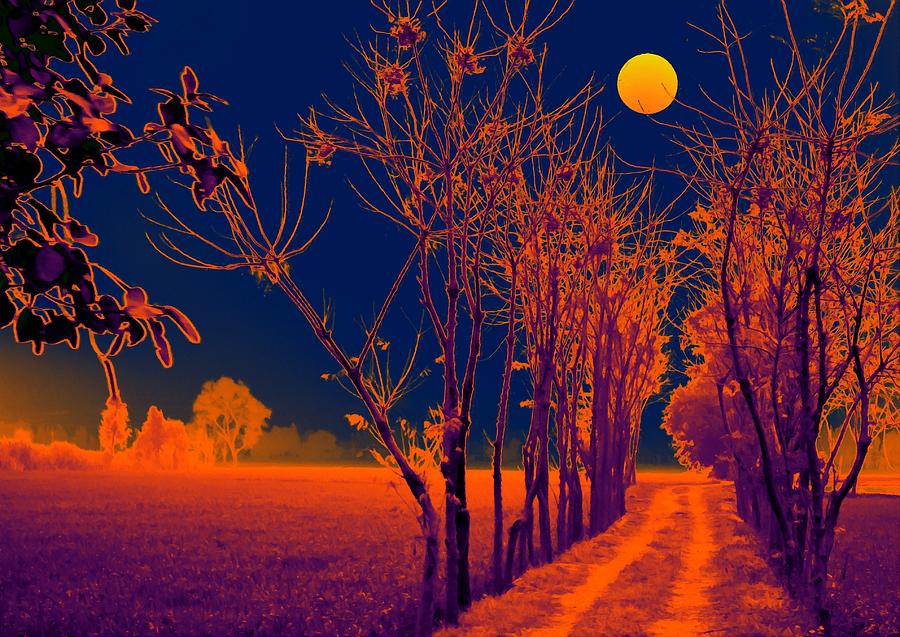 Nature Digital Art - The glowing path by Bliss Of Art