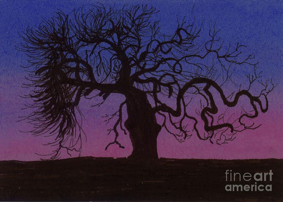 Sunset Painting - The Gnarly Tree by Jackie Irwin