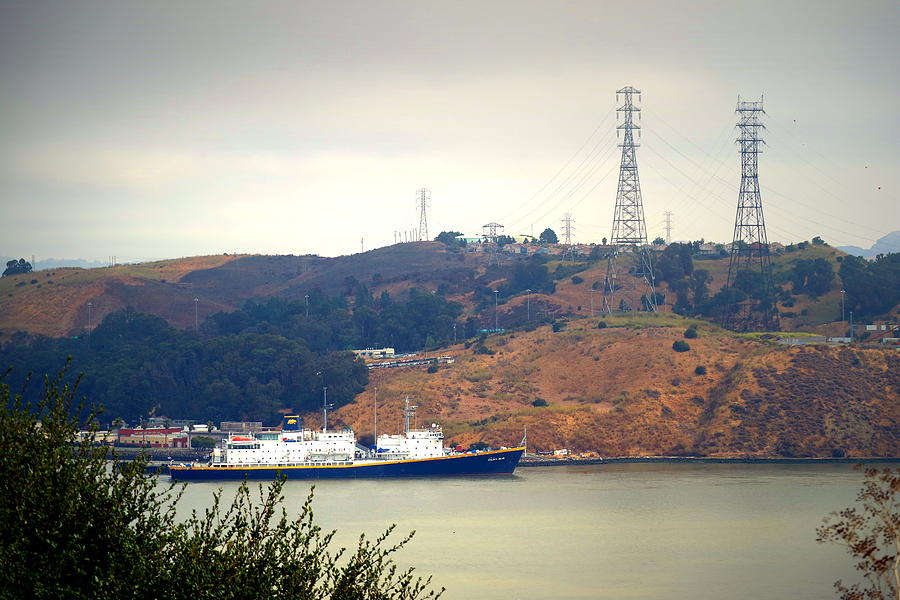 The Golden Bear At Carquinez Strait Photograph by Joyce Dickens