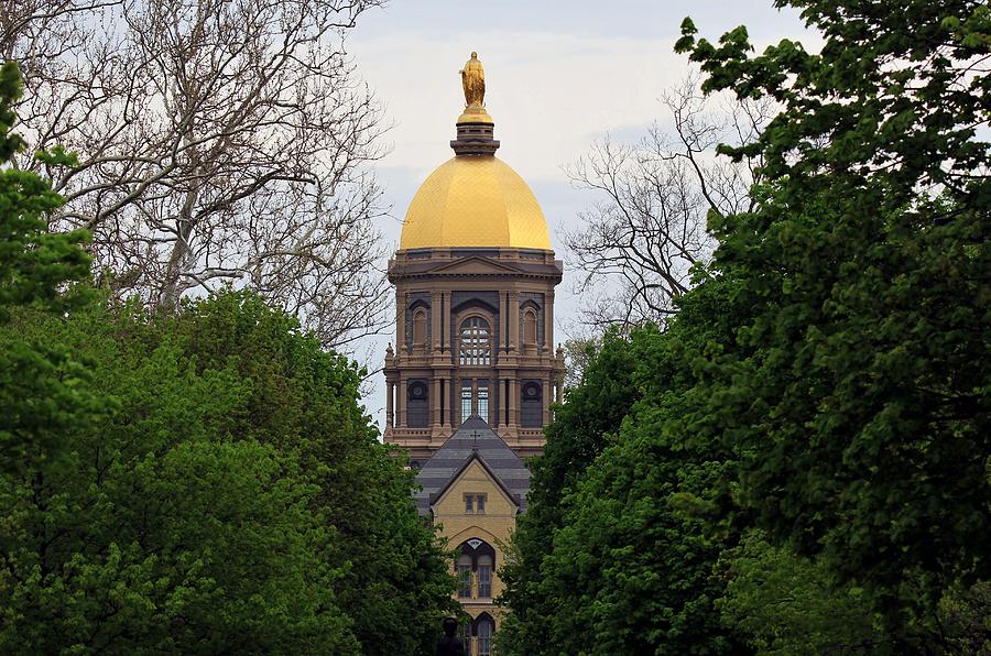 The Golden Dome Photograph by Christopher Miles Carter - Fine Art America