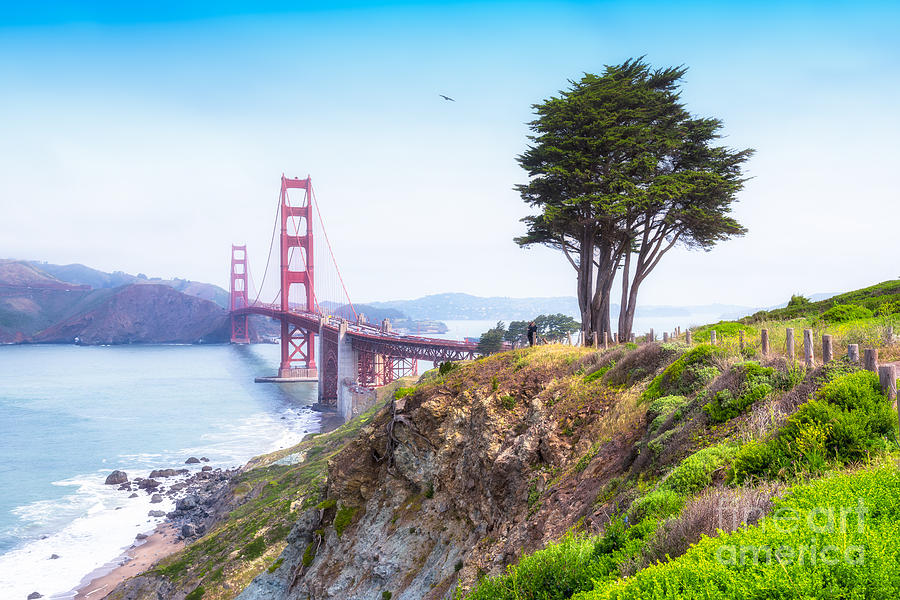 The Golden Gate Bridge, San Francisco Photograph by Mel Ashar