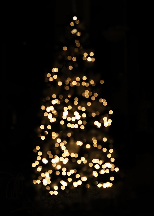 The Golden Glow of a Christmas Tree Photograph by Rona Black