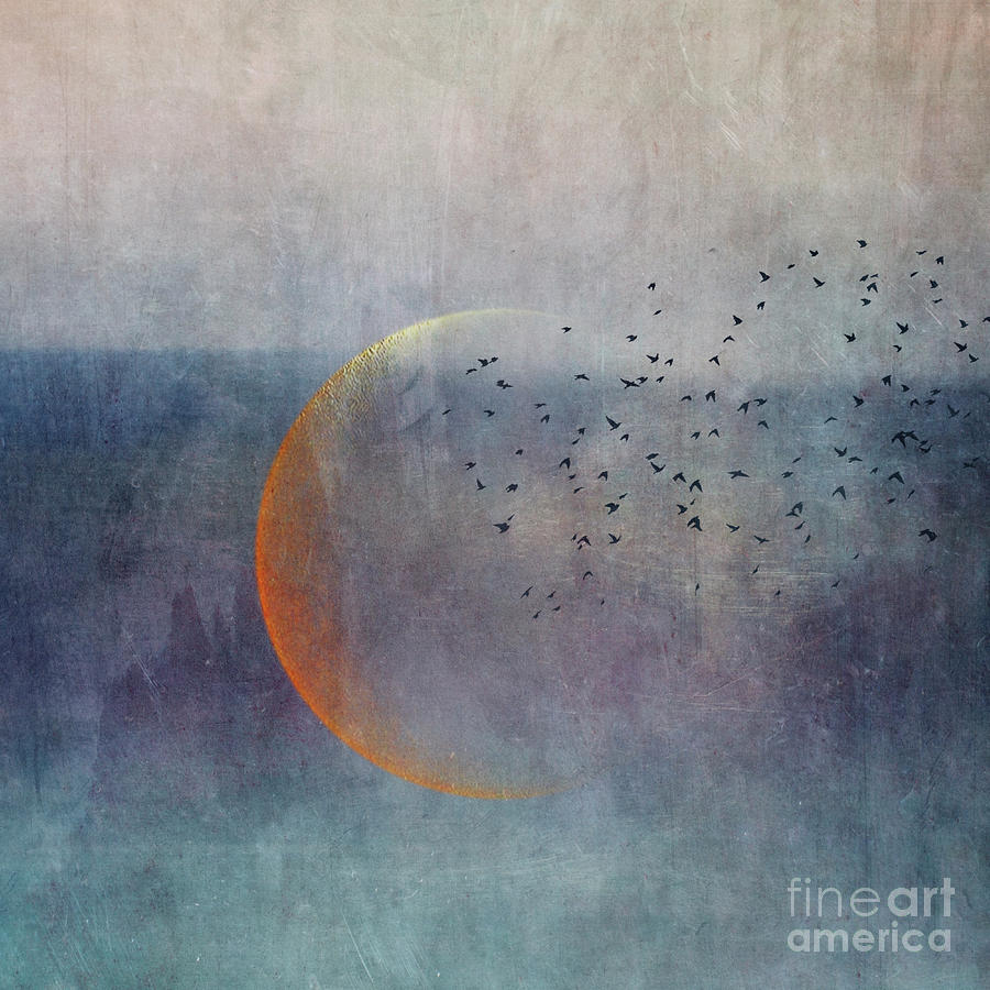 The golden moon and the birds Photograph by Priska Wettstein