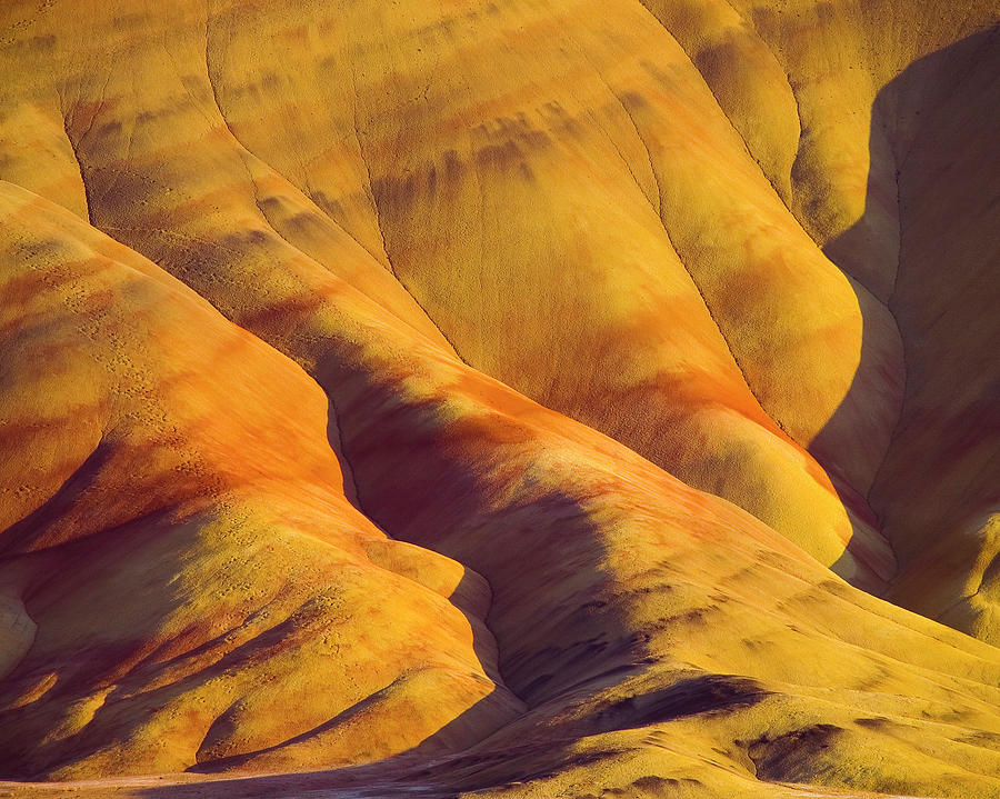 The Golden Painted Hills Photograph by Steven Clark