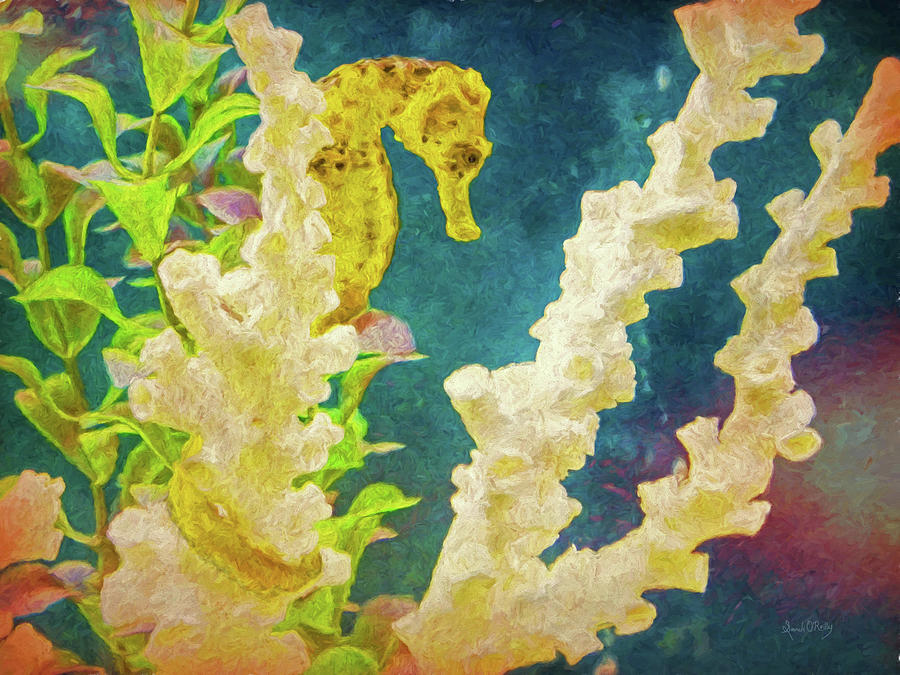 The Golden Seahorse Painted Photograph by Sandi OReilly