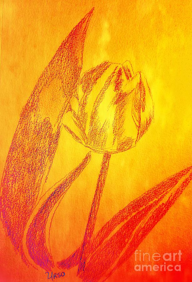 The Golden Tulip Photograph by Maria Urso