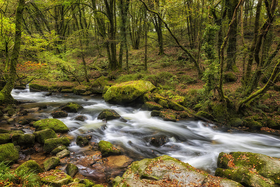 The Golitha Falls, Cornwall Photograph by Len Brook - Fine Art America