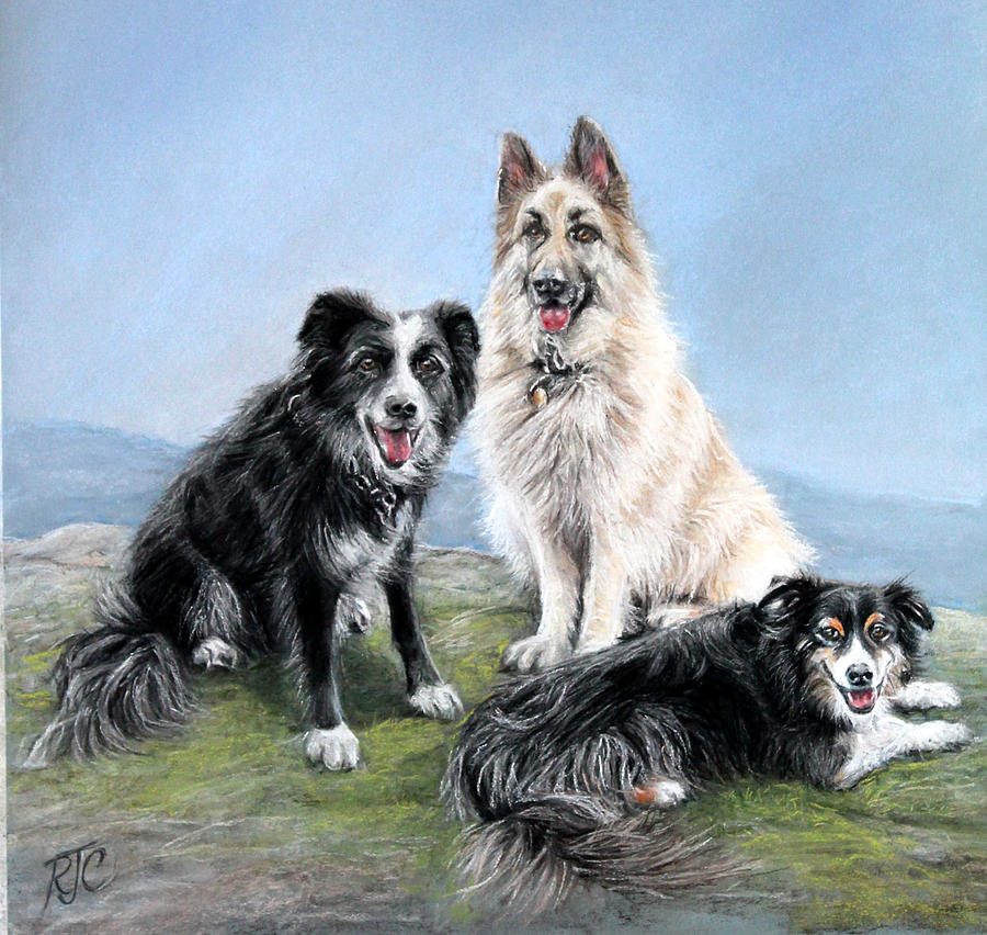 The Good Companions by Rosemary Colyer The Good Companions by Rosemary Colyer