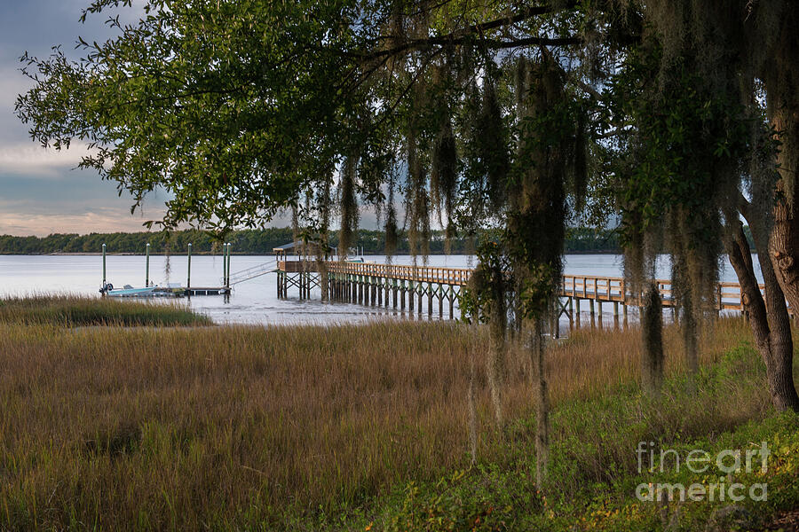 Marsh Photograph - The Good Life by Dale Powell