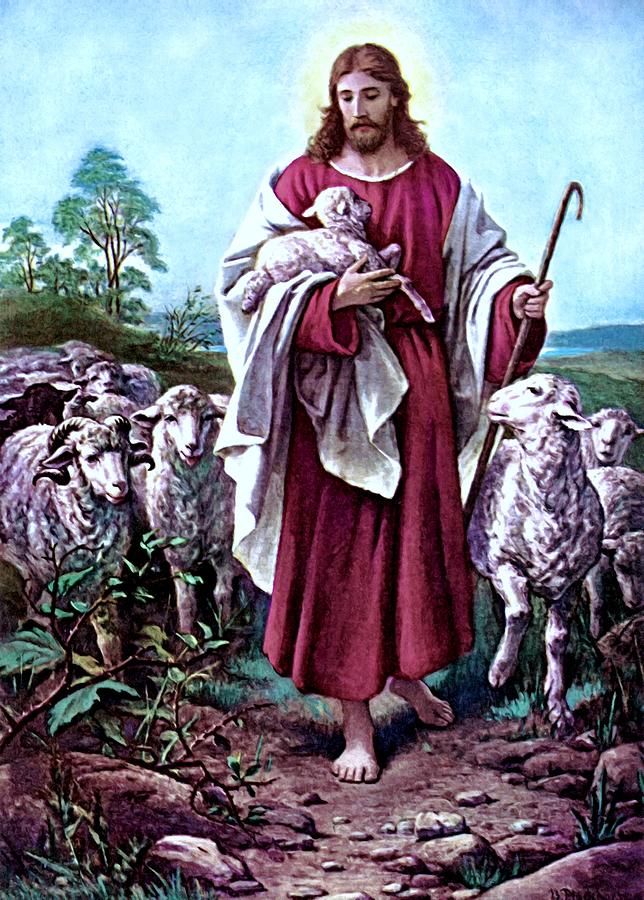 The Good Shepherd 1878 Bernhard Plockhorst Painting by Movie Poster Prints