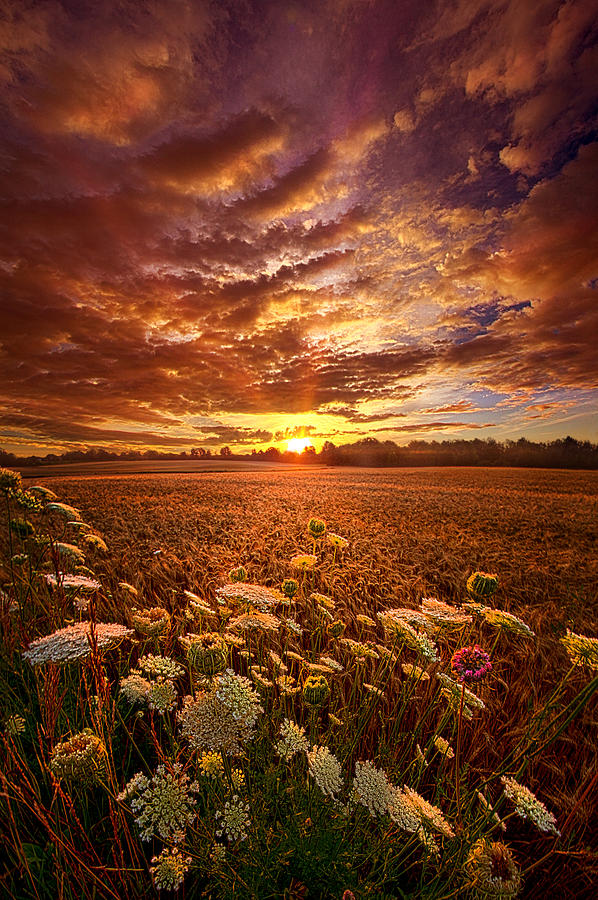 The Goodness of the Lord Photograph by Phil Koch