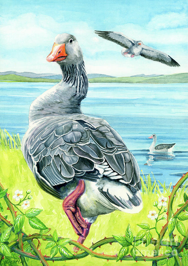 The Goose  Painting by Antony Galbraith