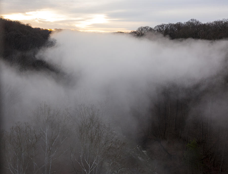 The Gorge in Fog 1 Photograph by Tim Fitzwater