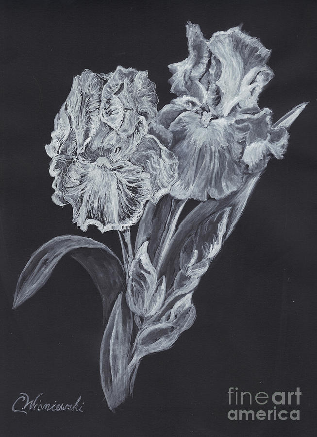 Iris Painting - The Gossamer Iris by Carol Wisniewski