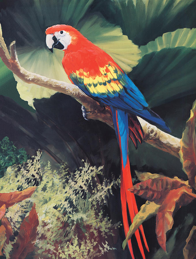 Parrot Painting - The Gossiper by Laurie Snow Hein