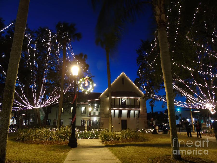 Christmas Photograph - The Government House Night Of Lights by D Hackett
