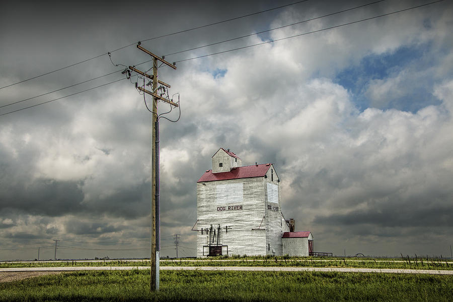 The Grain Elevator in Dog River Photograph by Randall Nyhof