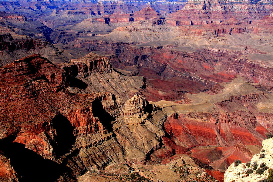 The Grand Canyon Photograph by Aidan Moran
