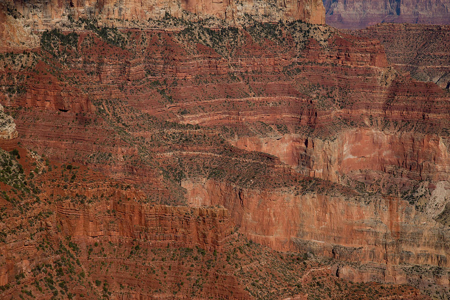The Grand Canyon From the North Rim 3 Photograph by Frank Madia