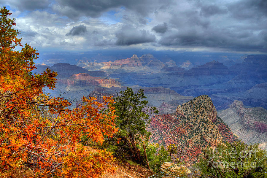 The Grand Canyon In Autumn Photograph by K D Graves - Fine Art America