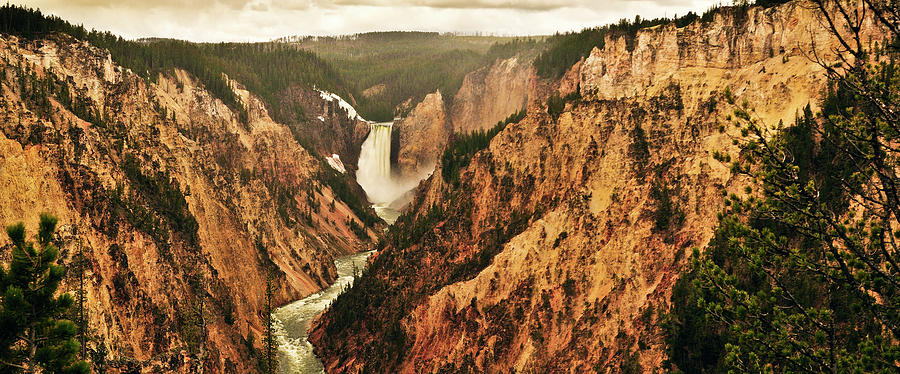 Yellowstone National Park Photograph - The Grand Canyon Of The Yellowstone by Greg Norrell