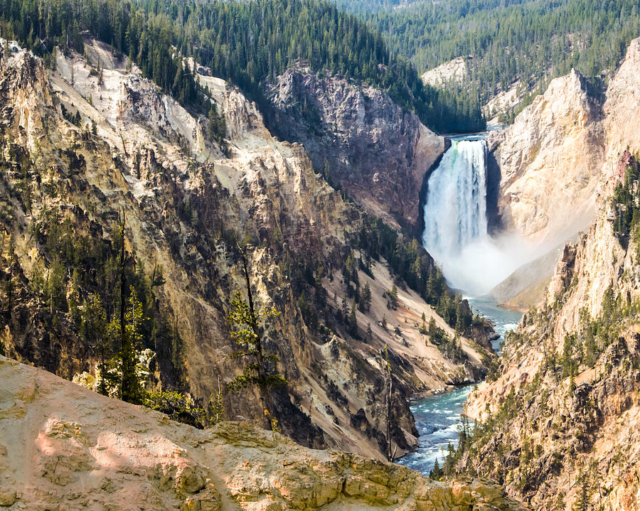 The Grand Canyon of Yellowstone Lower Falls Photograph by Nicholas Blackwell