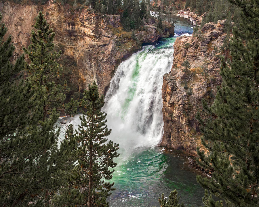 The Grand Canyon of Yellowstone Upper Falls Photograph by Nicholas Blackwell