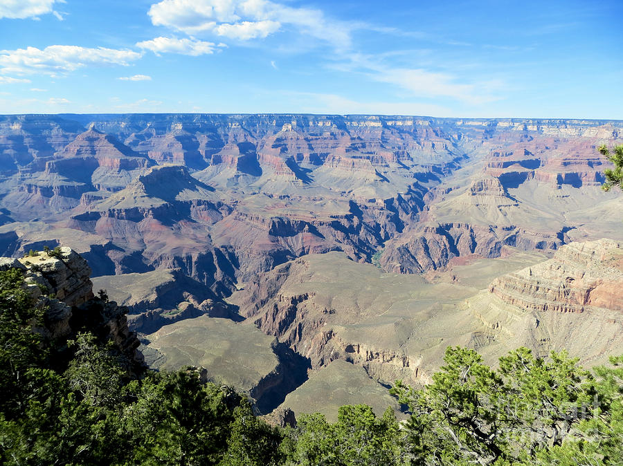 The Grand Canyon Photograph by Rachel Morrison