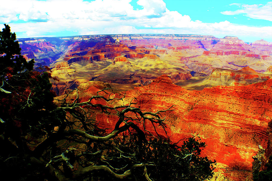 The Grand Grand Canyon Photograph by Susan Vineyard