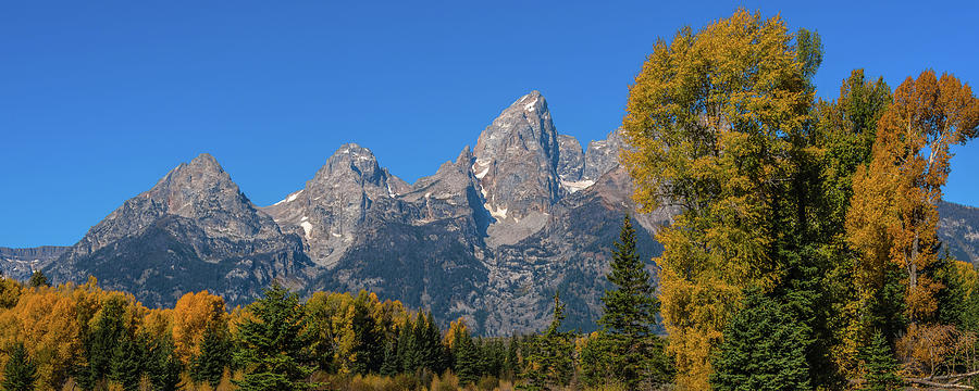The Grand Teton colors Photograph by Yeates Photography