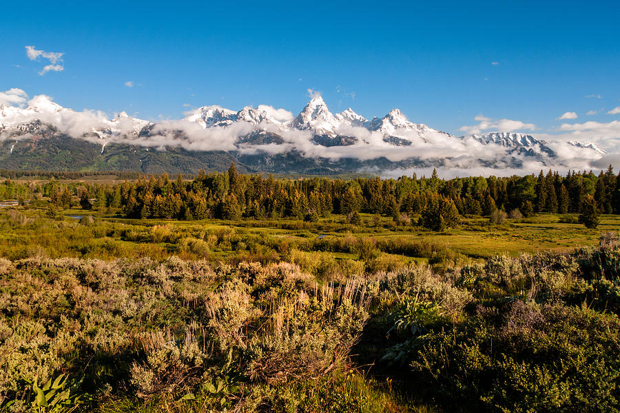 Landscape Photograph - The Grand Tetons - Grand Tetons National Park Wyoming by Brian Harig