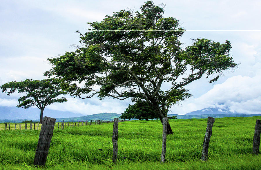 The Grass Lands Of Costa Rica Photograph By William E Rogers - Fine Art 