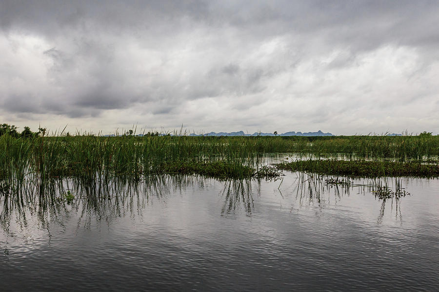 The Grasslands by Sam Morris The Grasslands by Sam Morris