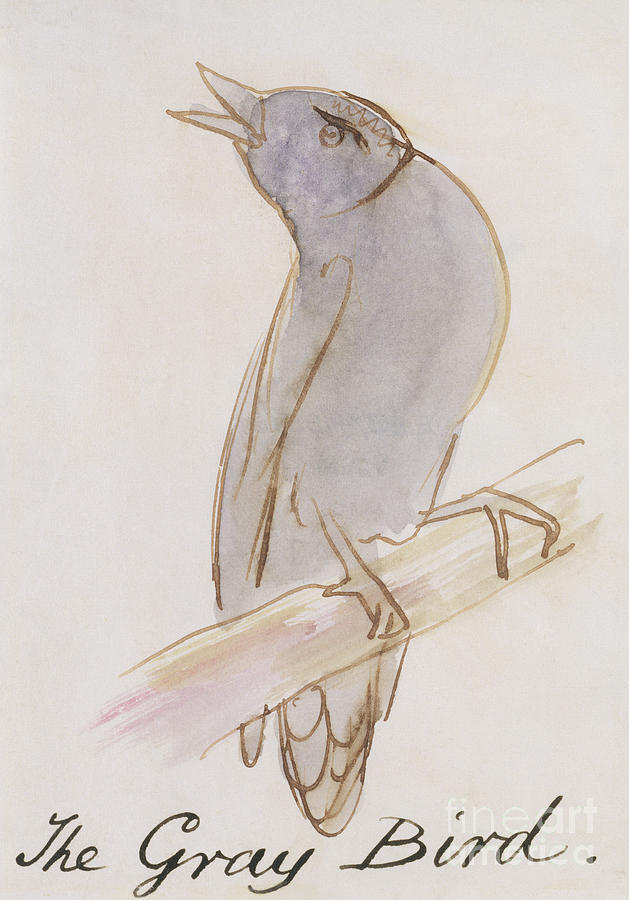 The Gray Bird Painting by Edward Lear