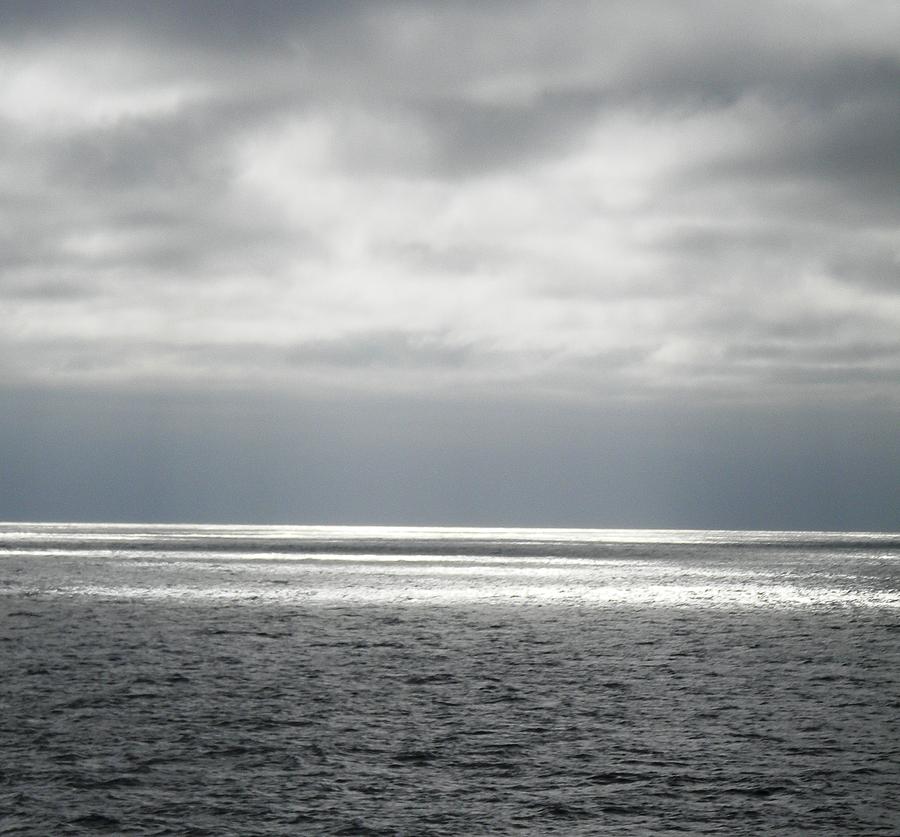 Nature Photograph - The Gray Pacific  by Rhonda DePalma