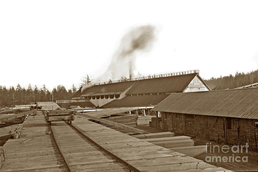 Lumber Company Photograph - The Grays Harbor Mill Co. WA 1895 by Monterey County Historical Society