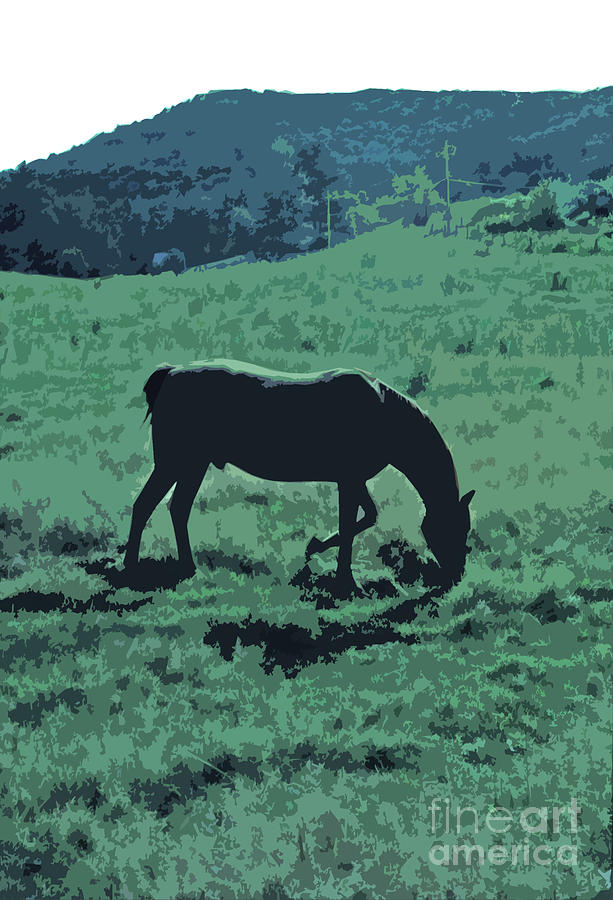 The Grazing Horse Photograph by Tom Wurl