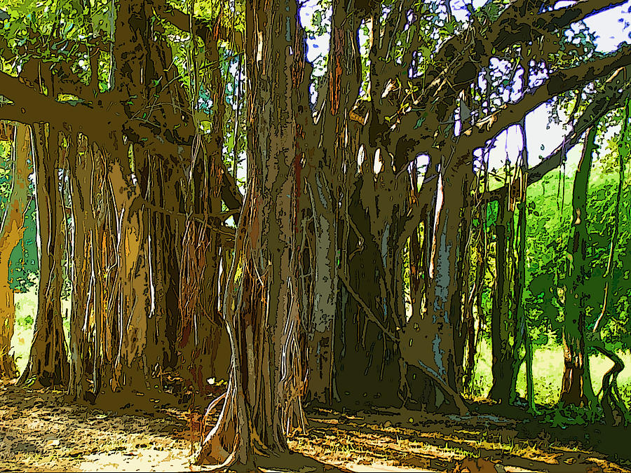 The Great Banyan Tree Photograph by Padamvir Singh
