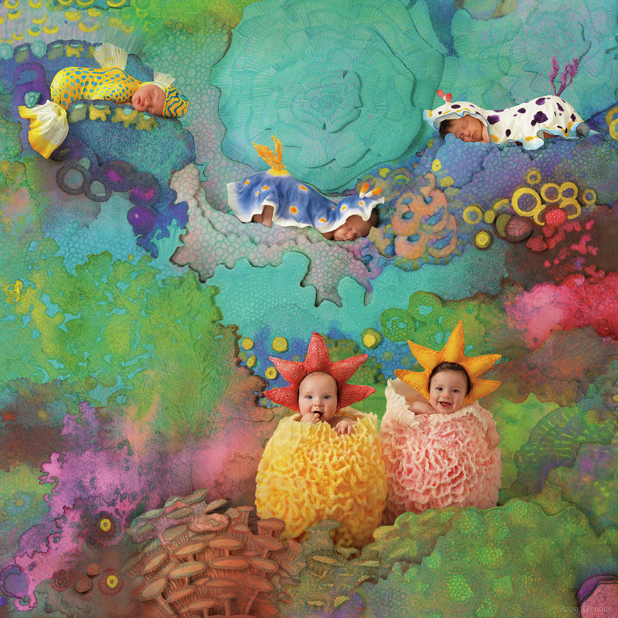 Under The Sea Photograph - The Great Barrier Reef by Anne Geddes