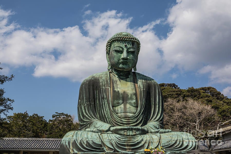 The Great Buddha Photograph by Eva Lechner