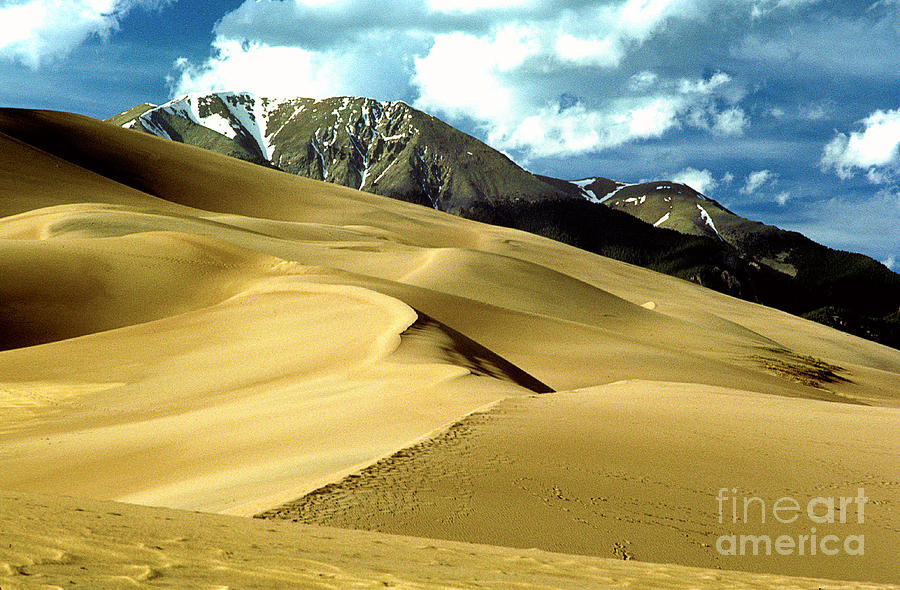 The Great Colorado Sand Dunes Color Print Photograph by James BO Insogna