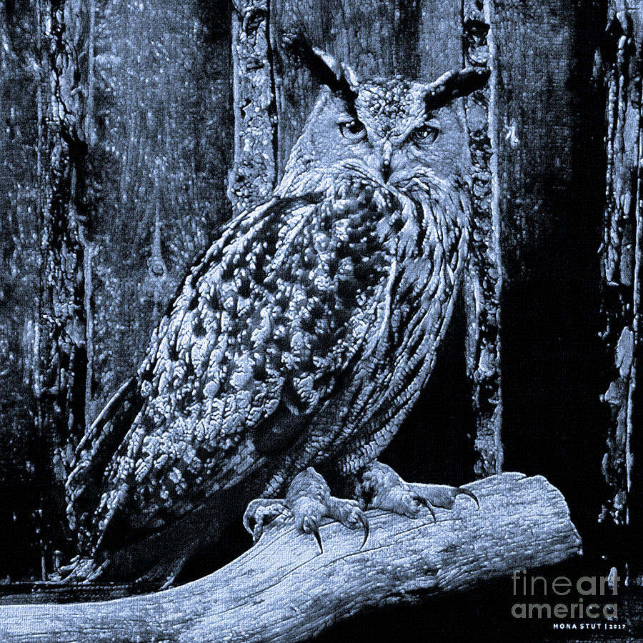 Majestic Great Horned Owl Bubo Bubo BW Mixed Media by Mona Stut