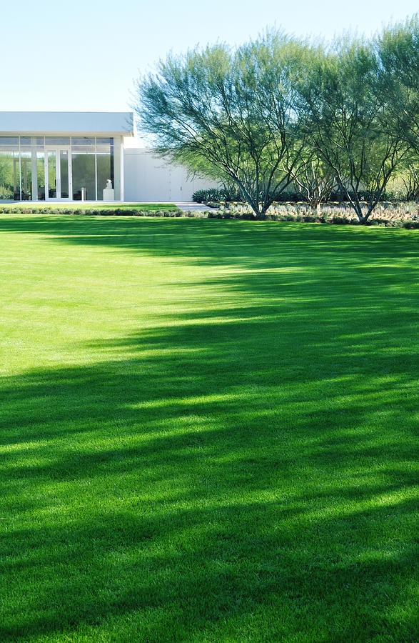 The Great Lawn and Center at Sunnylands Photograph by Kyle Hanson