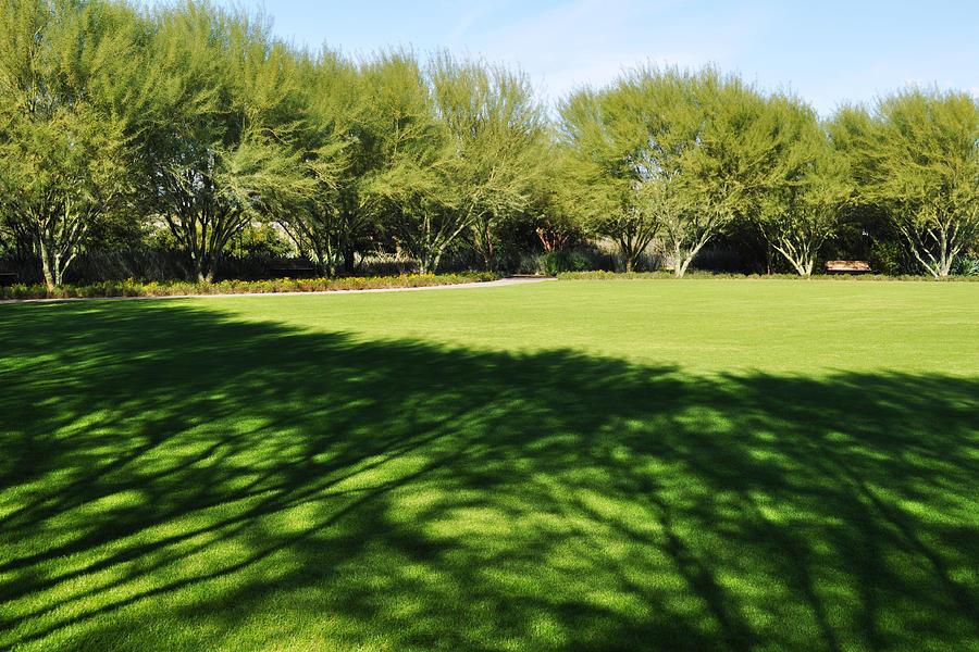 The Great Lawn at Sunnylands Photograph by Kyle Hanson