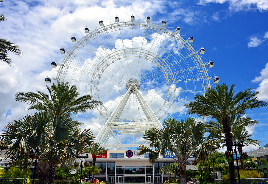 The Great Orlando Eye Photograph by David Lee Thompson