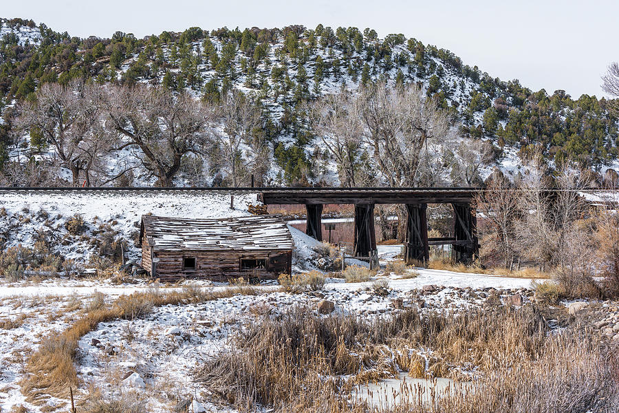 Brush Photograph - The great railroad by Bud Bartnik Brush Photograph - The great railroad by Bud Bartnik